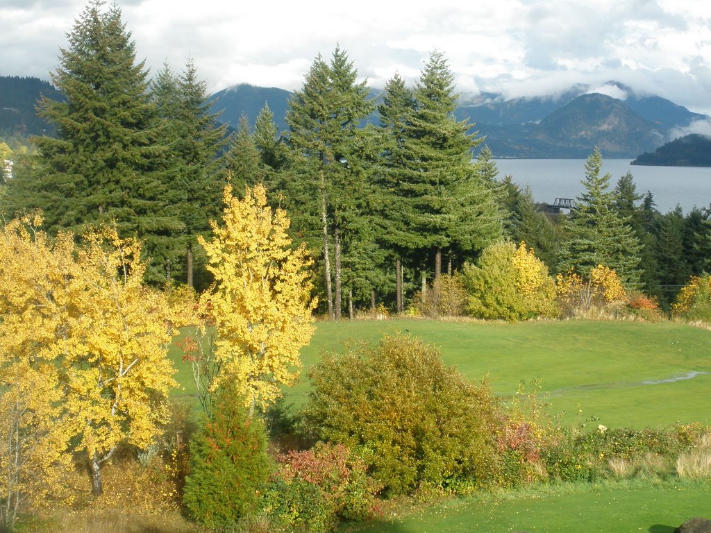 Skamania Lodge View in the Fall by spdickey