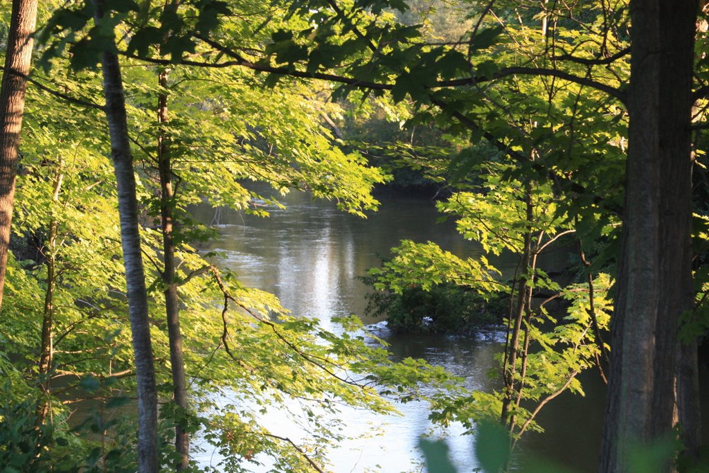 Huron River early morning by Guy Hutchison