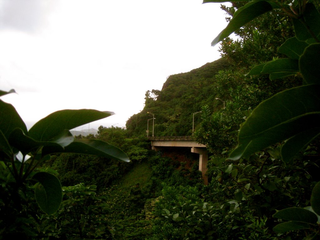 Hwy from below by PhotoBombOahu