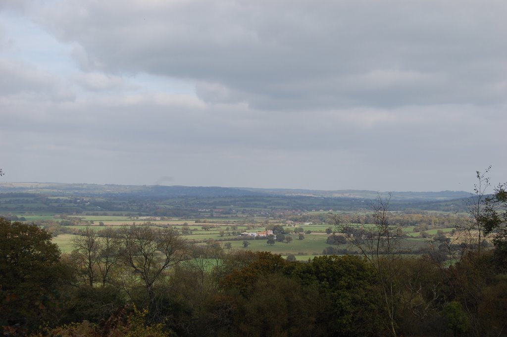 View from Duncliffe Wood by woodendog