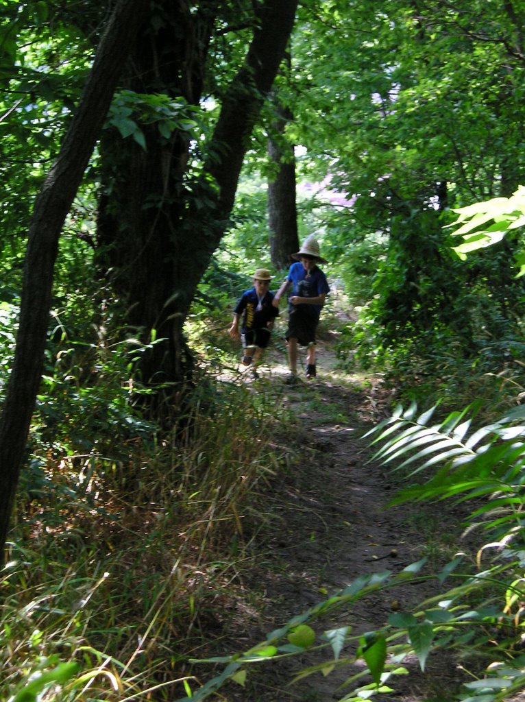 Cardiff Hill, Hannibal by pammybay