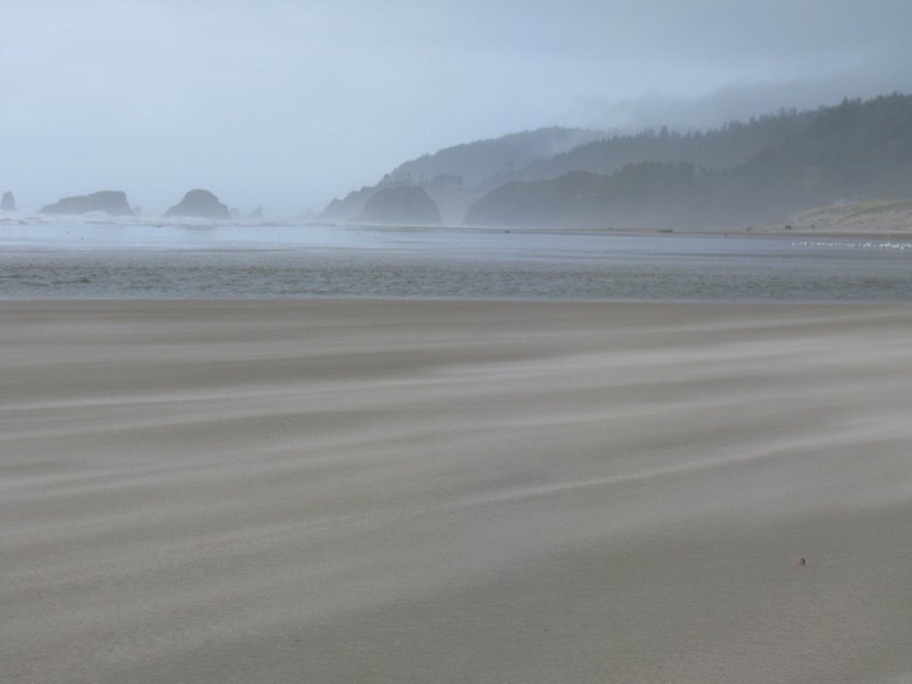 Wind and Fog on Cannon Beach by Todd Stahlecker