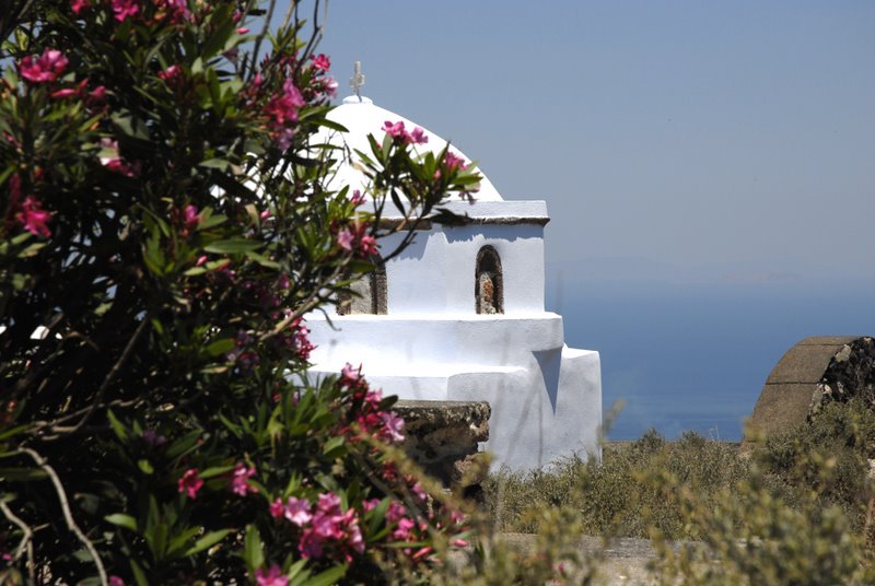 Pyrgos' oleanders by piet van sluijs