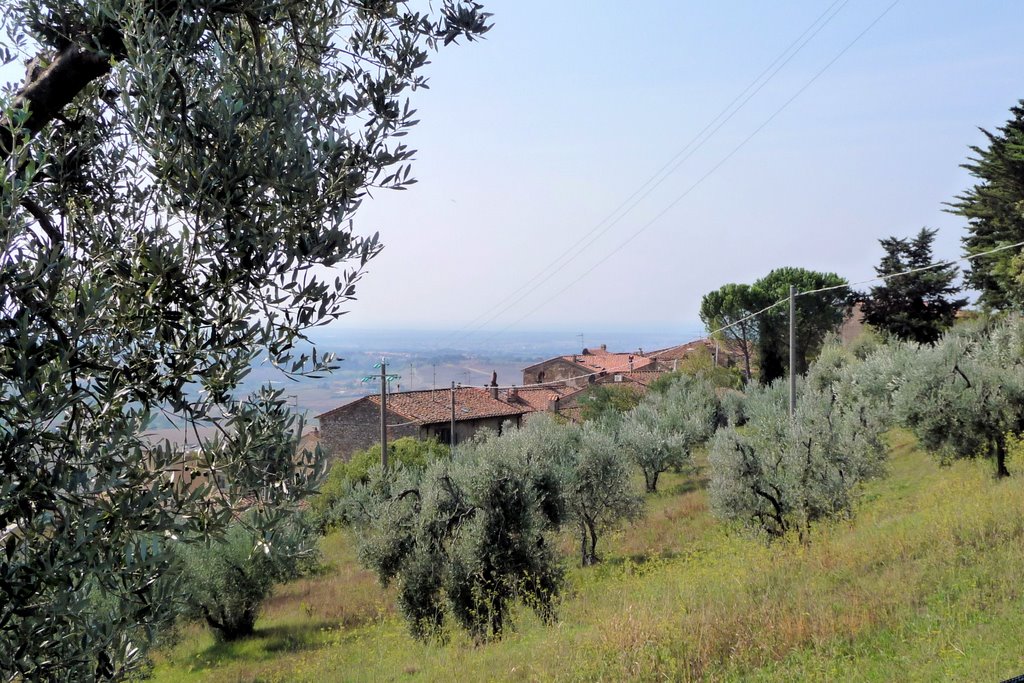 Blick auf Casale Marittimo by Burkhard Foltz