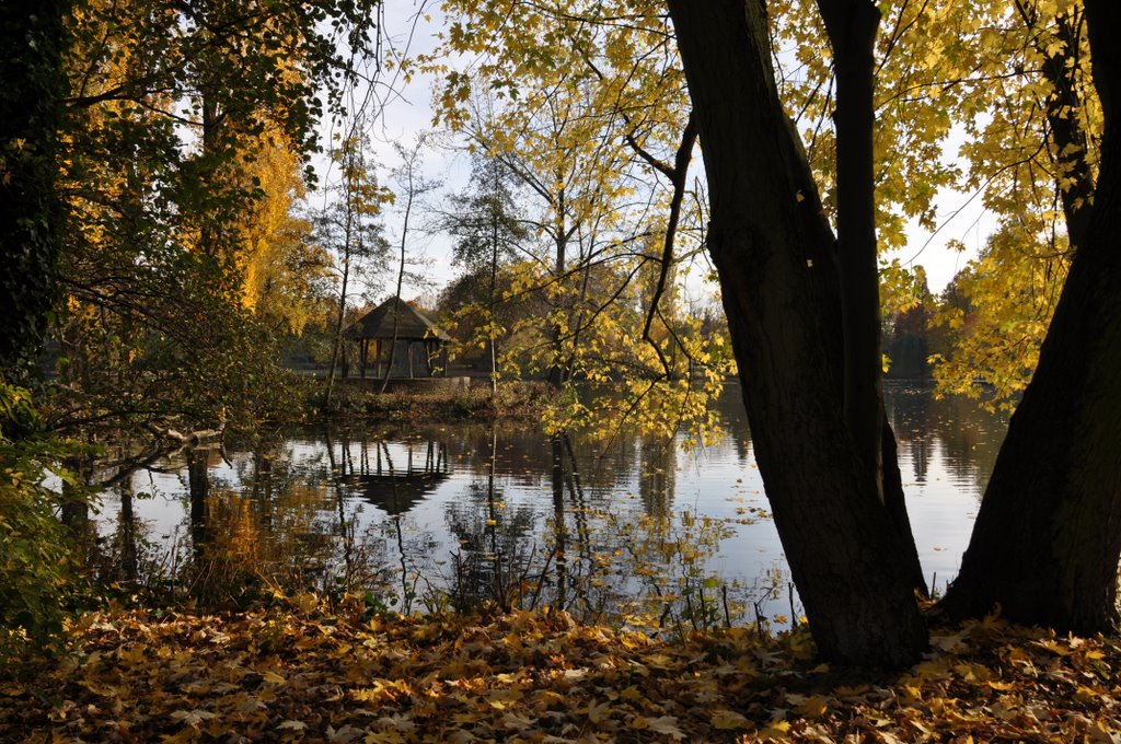 Liebesnest im Nordpark by Dieter Hockertz