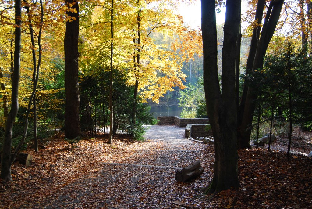 Im Steinbergpark mit Blick auf den See by Oliver Nordt