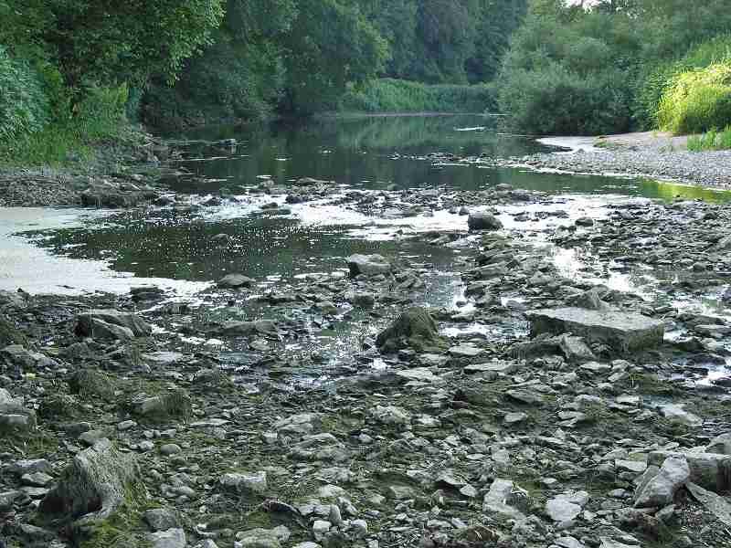 Donau versickerung by Reinhold Skoglund