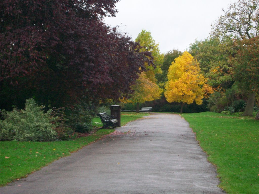 Regant's Park Foliage by D.Campbell