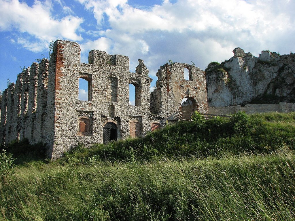 Zamek Rabsztyn (ruins of the Rabsztyn Castle, Poland) [1] by sasklocz