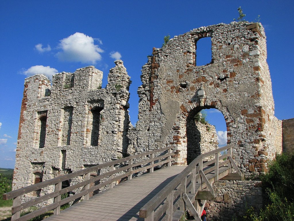 Zamek Rabsztyn (ruins of the Rabsztyn Castle, Poland) [2] by sasklocz