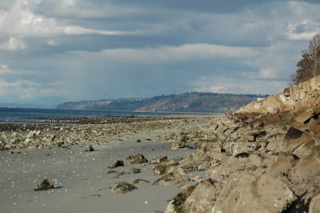 Edmonds beach N of Bracketts Landing by bubaduck