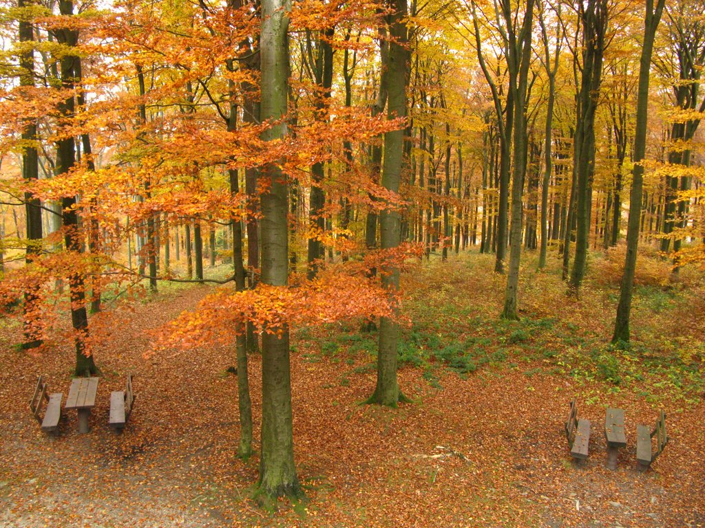 Picknick-Bänke vor dem Aussichtsturm, Herbst 2009 by 600m