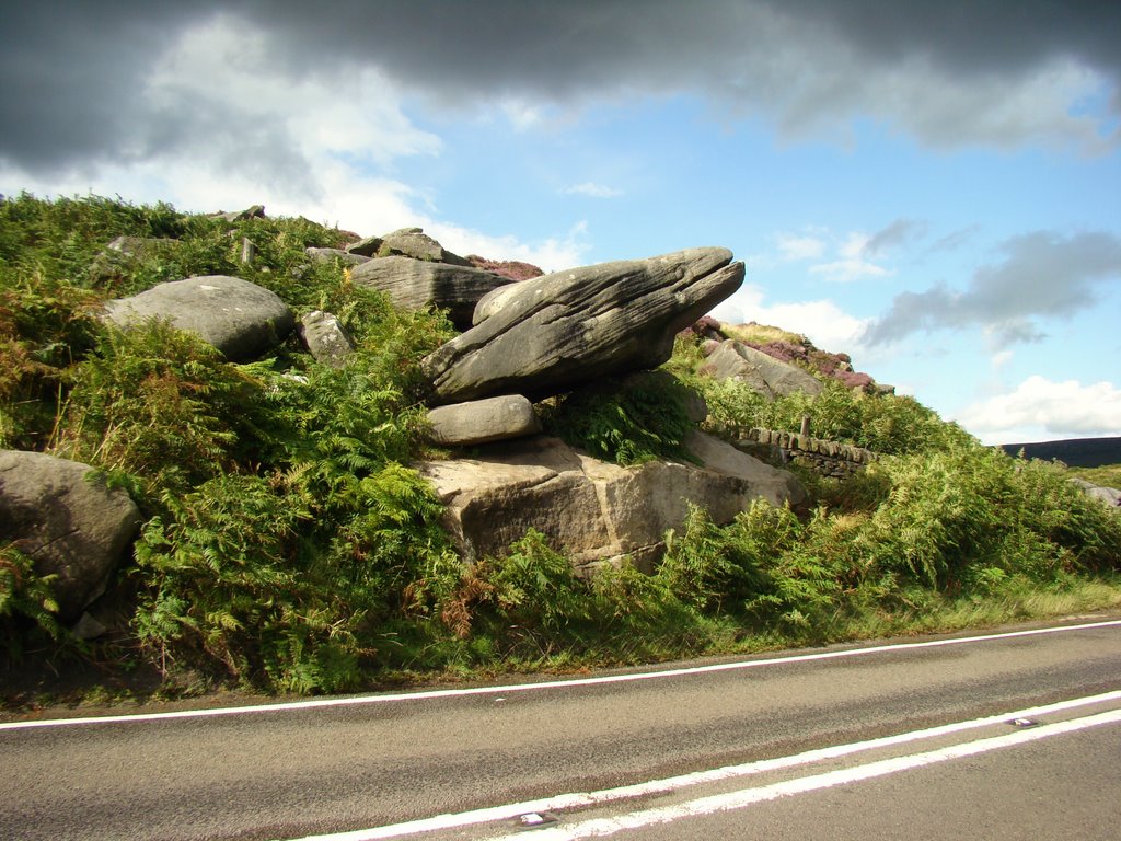 Toad's Mouth 1, Sheffield/Derbyshire border, S11 by sixxsix