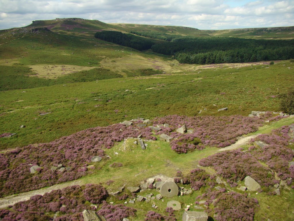 Millstones amongst flowering Heather at Burbage, Sheffield S11 by sixxsix