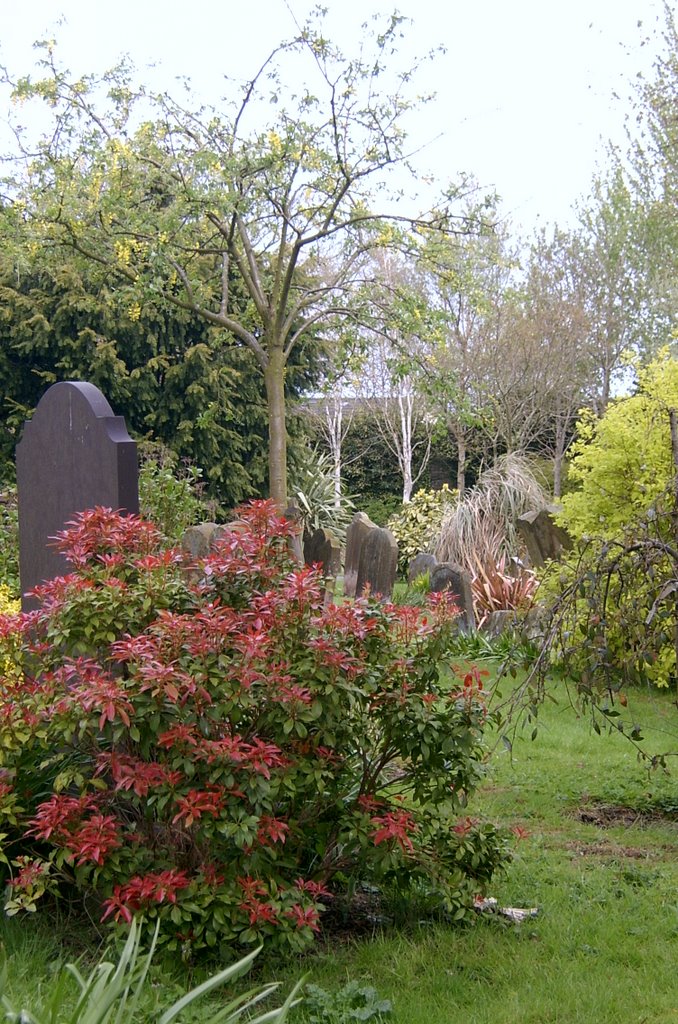 Graveyard, St Patrick's Church by Katie Russell