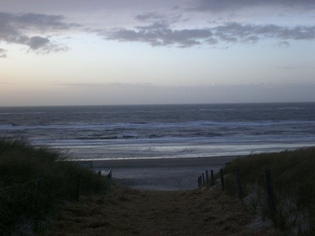 Vlakte achter duingebied, zicht op zuiden nabij De Koog, Texel by David Jimmink