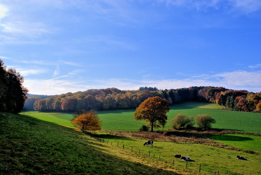 Vaals - Holset by © BTF-Fotografie