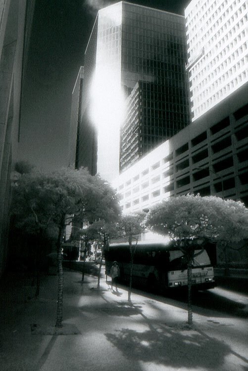 Honolulu Downtown, Hawaii by Jiri Dvorsky