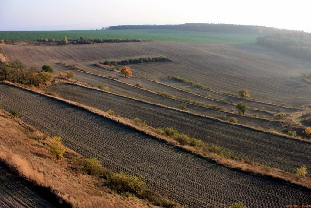 Rozhledna (Lookout) Židlochovice by Martin Hajda