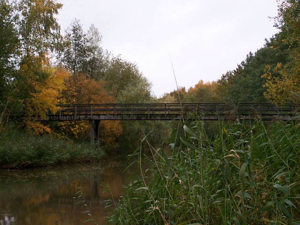 Fietsbruggetje over de Regge (26-10-2009) by sbj