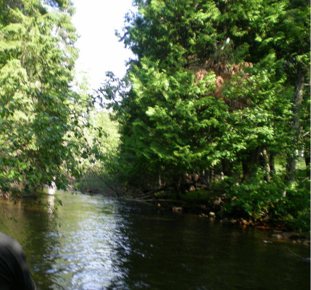 Winding river just downstream from Longville by p_noc