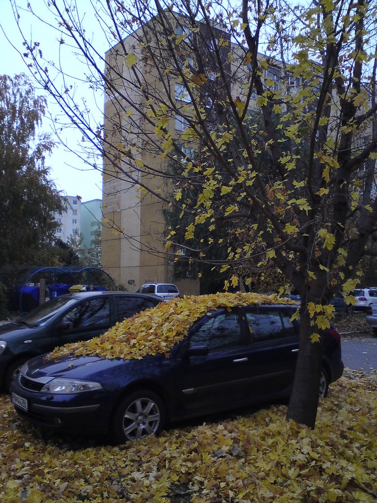 Autumn on a parking place by golovolonka