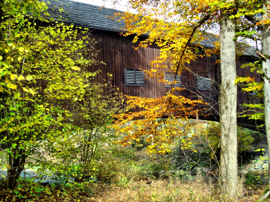 Old wooden bridge of Hasle-Rüegsau by ©ssi