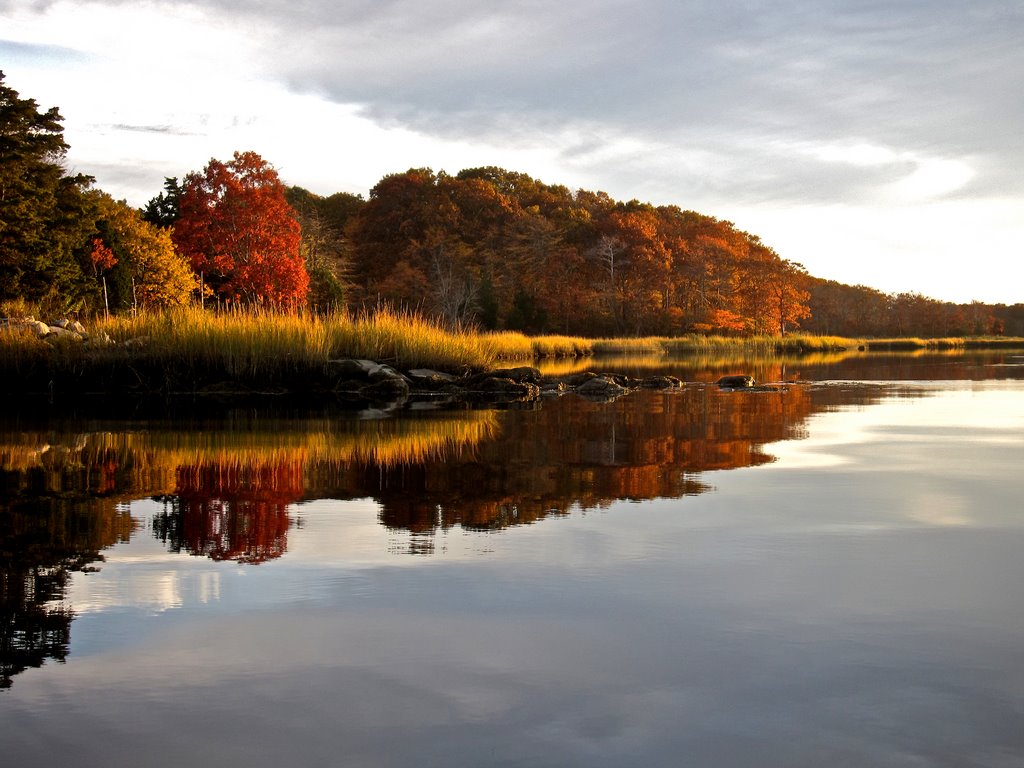 Apponagansett Marsh, 10/25/09, 4:24 pm by philipcmarshall