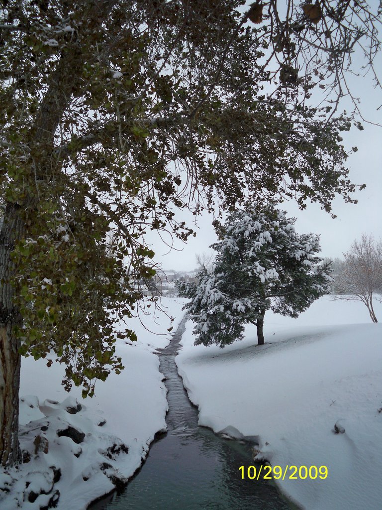 RUNNING BETWEEN THE SNOW,CO,USA by ╰☆❤JossetteD❤☆╮