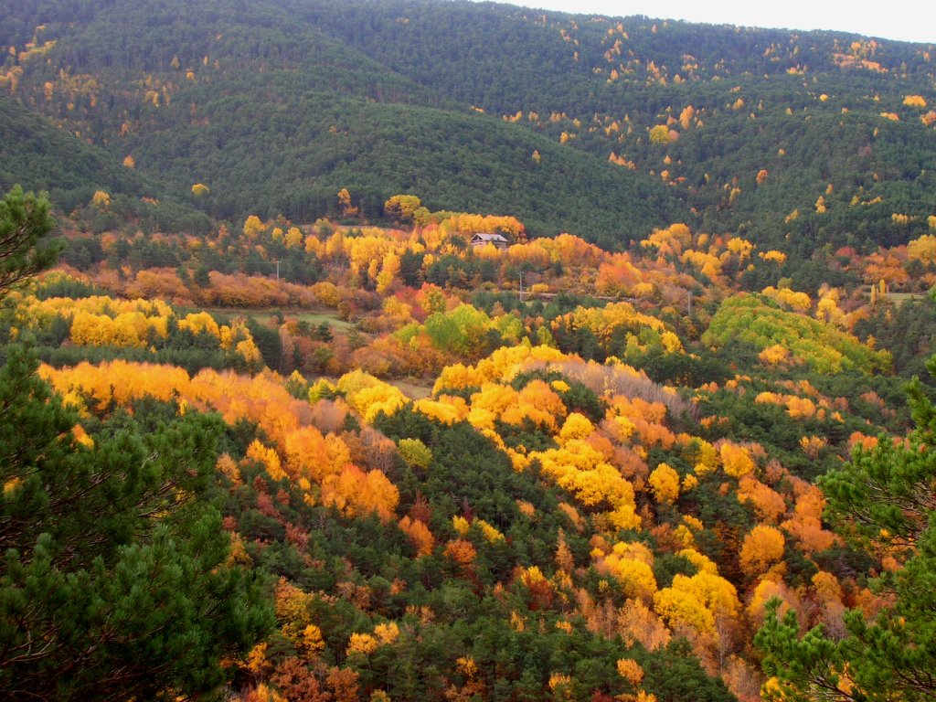 Otoño en Yesero by Pilar Martín