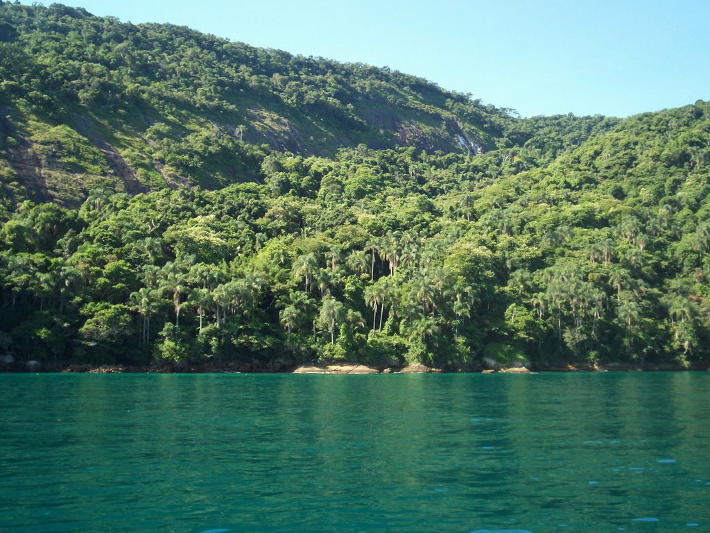 Ilha Grande by Zedu