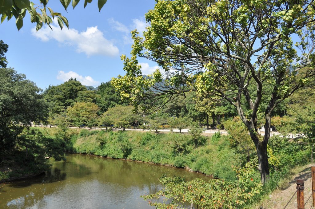 Moat of Ueda Castle 上田城 堀 (2009.09.26) by k.takita