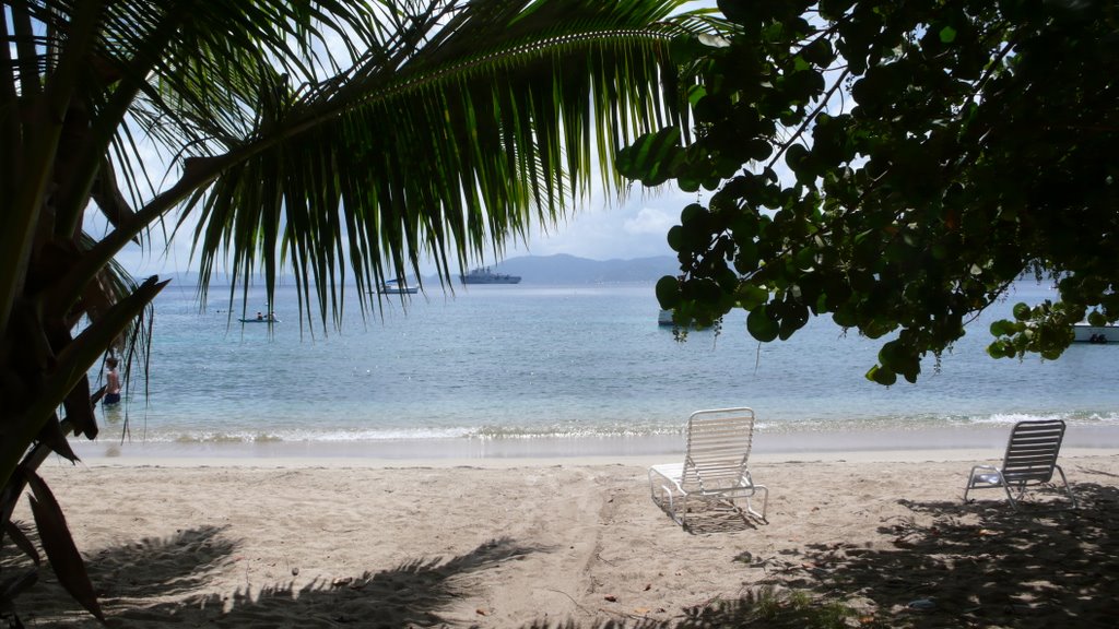 Cooper Island, BVI by cjonesct