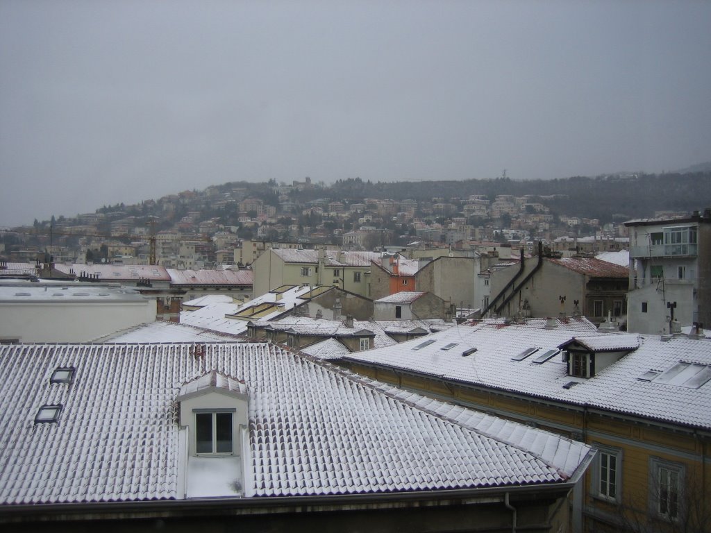 Nevicata da viale XX settembre by Giuseppe Sbisà