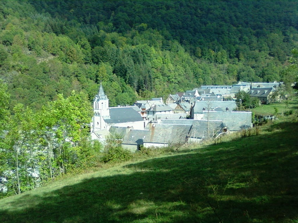 Bareilles vu du chemin de Ris by W.B.