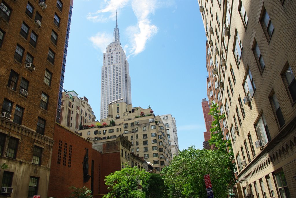 Park Avenue & 35th Street by GertJonkman