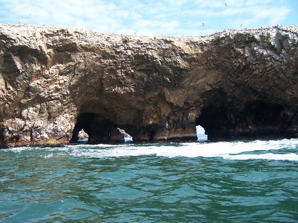 Islas Ballestas by mmayos