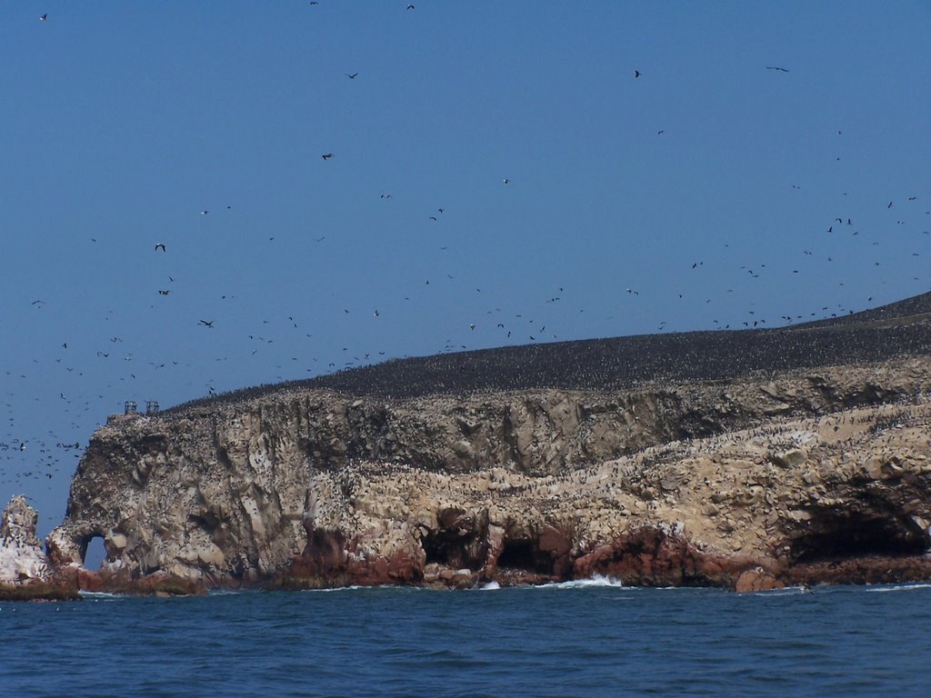 Islas Ballestas3 by mmayos