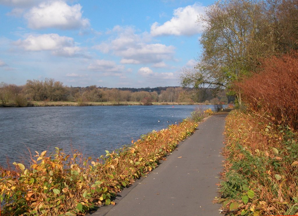 Am Leinpfad vor Kocks Loch by Ruesterstaude