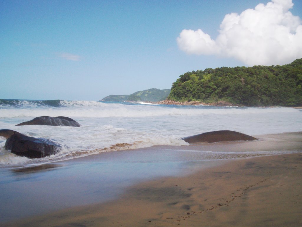 Parati - Trindade - Praia Brava by Zedu