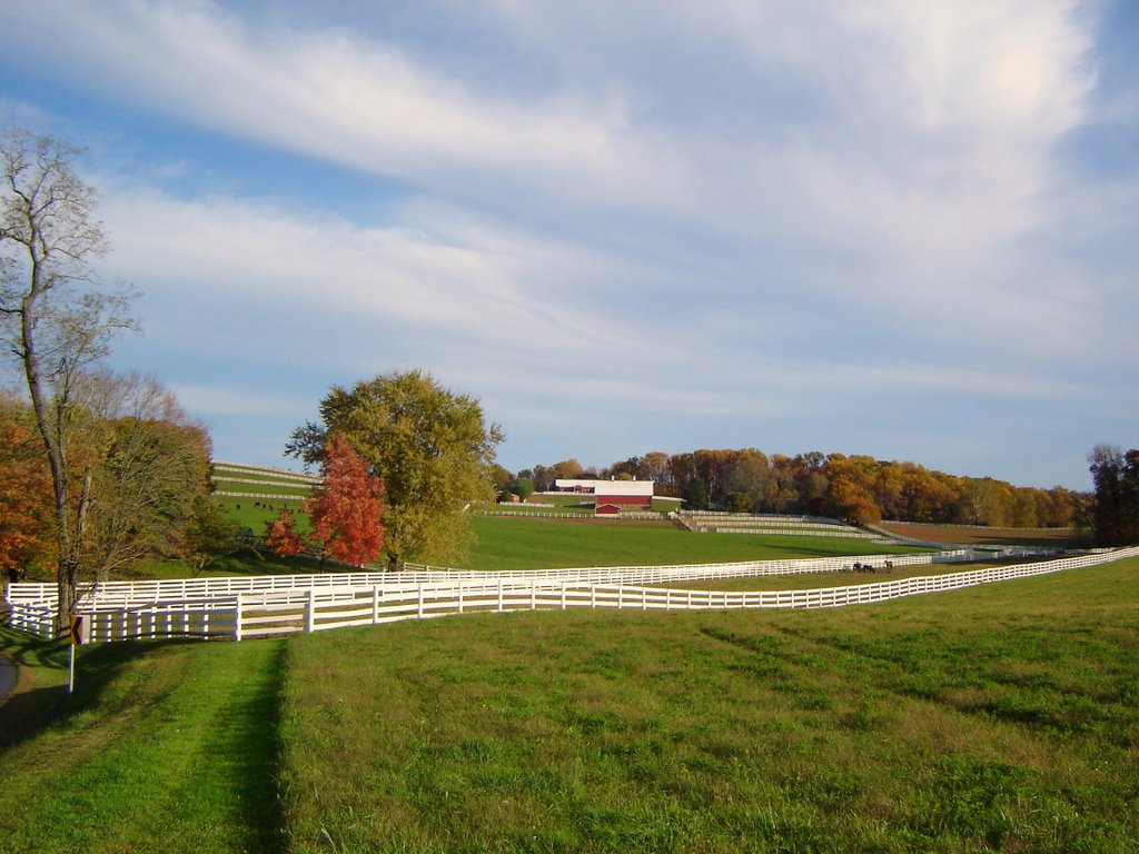 Farmer house at Havre de Grace MD by Chanilim714