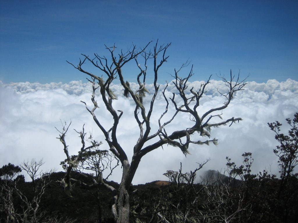 On the way to Laban Rata Resthouse by Viktor.Bruckman