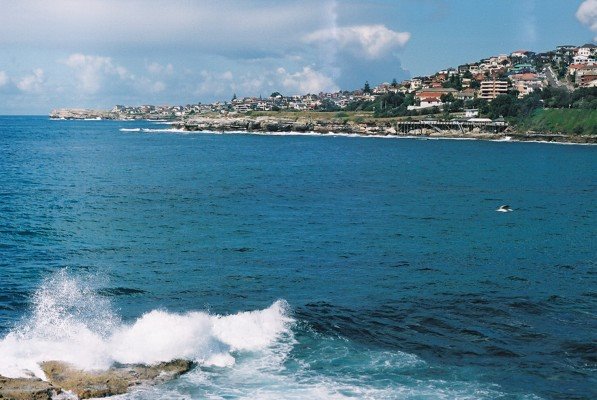 Coogee by felipe alberto