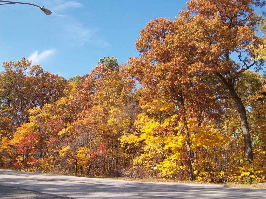 Indiana Dunes by Leskra