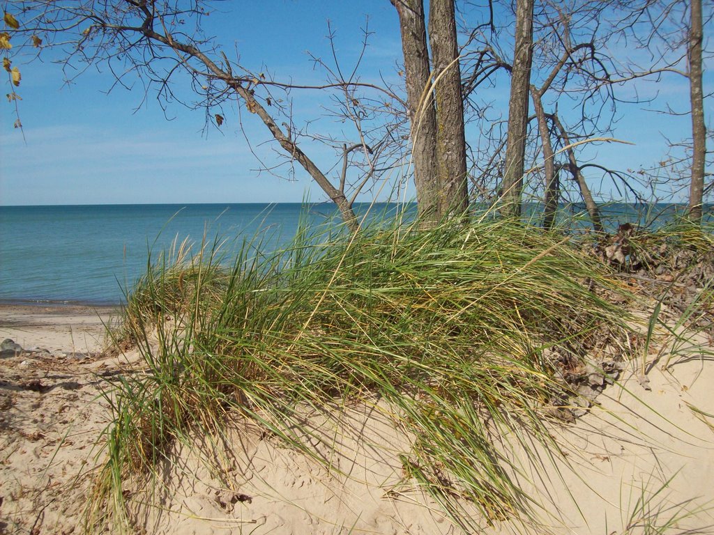 Indiana Dunes by Leskra