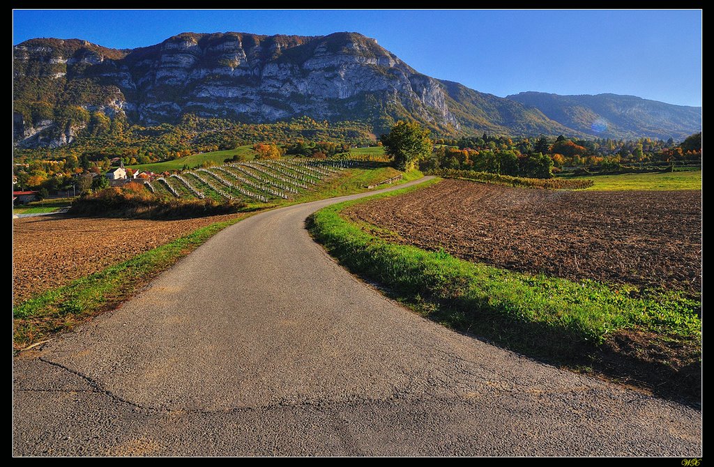 Chemin du Crétolliet by wx