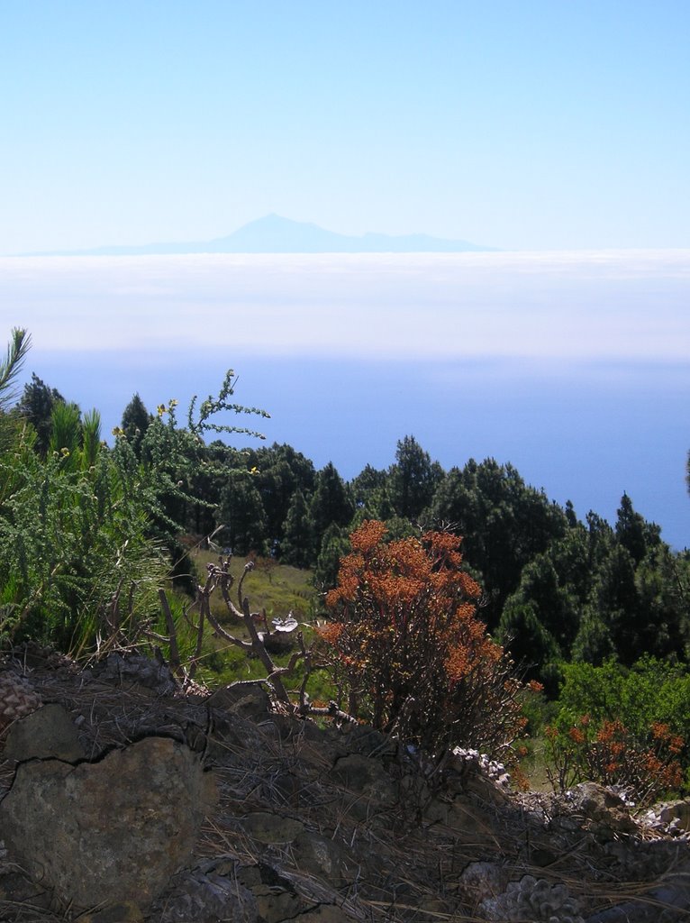 El teide desde la palma by mateohernandez