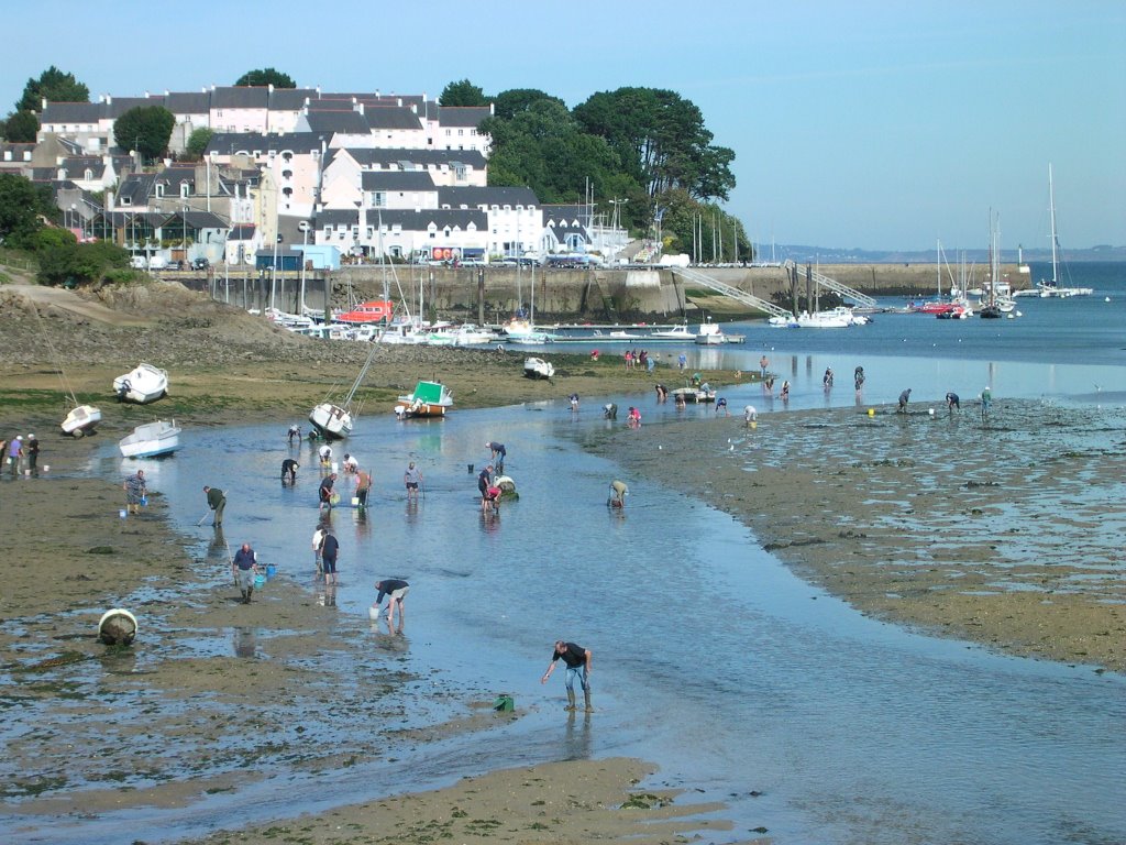 Douarnenez. Treboul by elgalpon