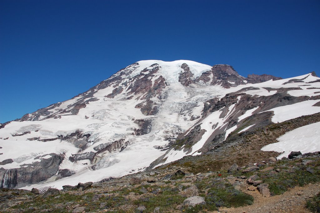 Mt. Rainier, WA, 4.392 Meter by Bühlertäler