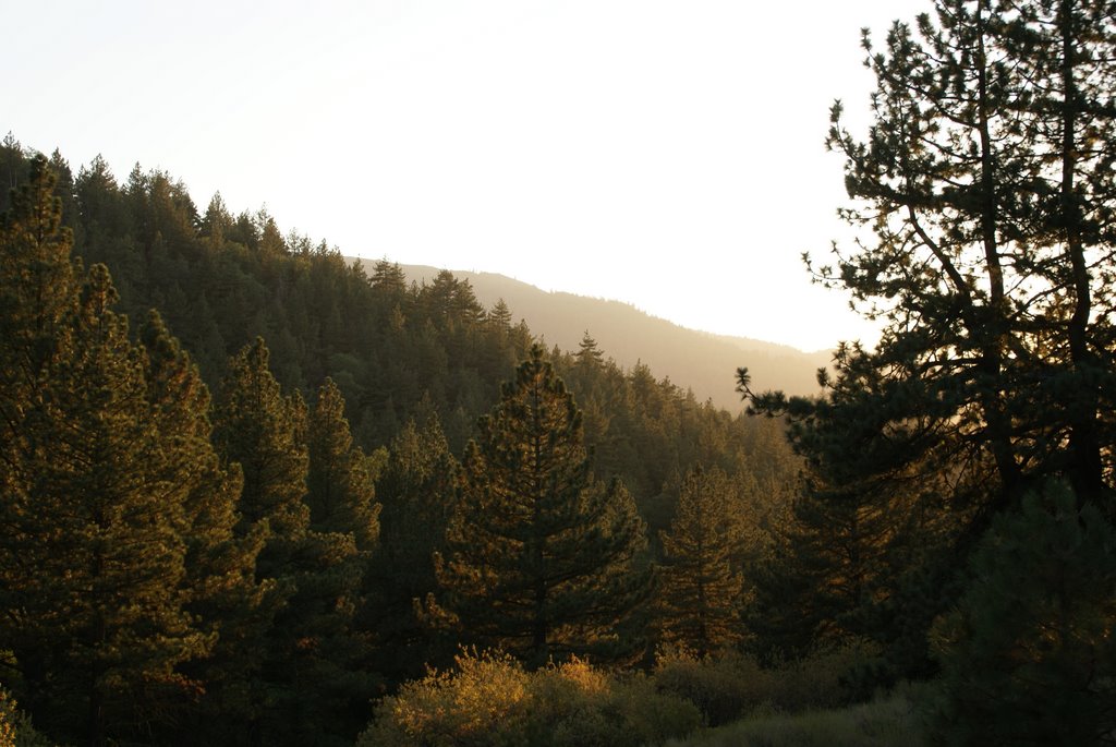 Hansen Valley at Sunset by shansen